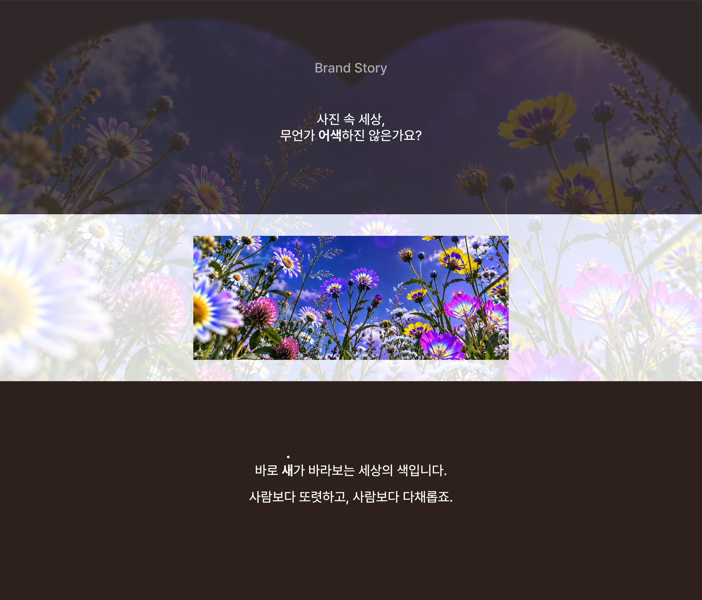 지켜조 — 1