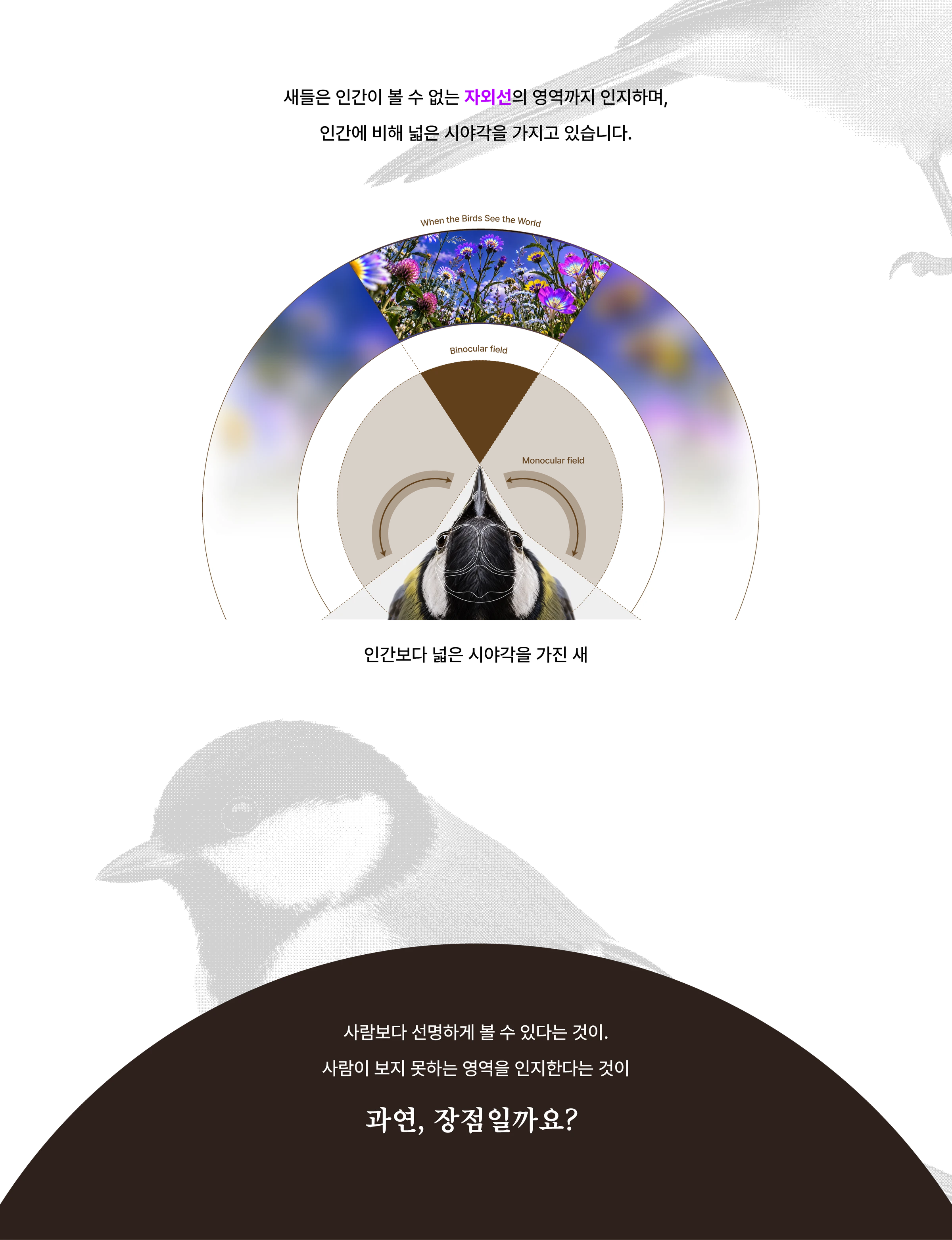 지켜조 — 2