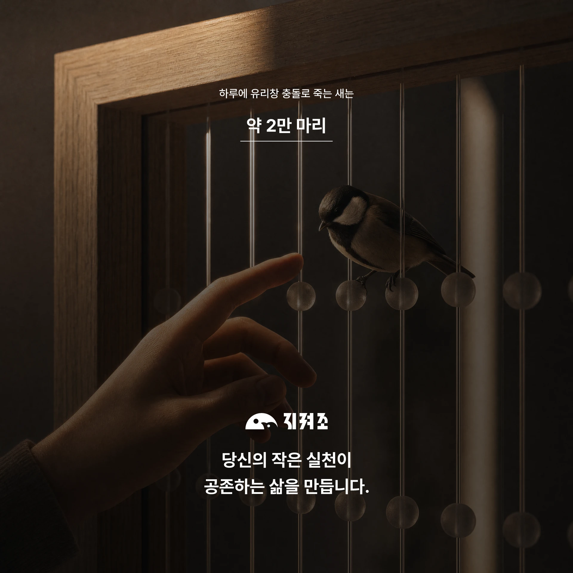 지켜조 — 3