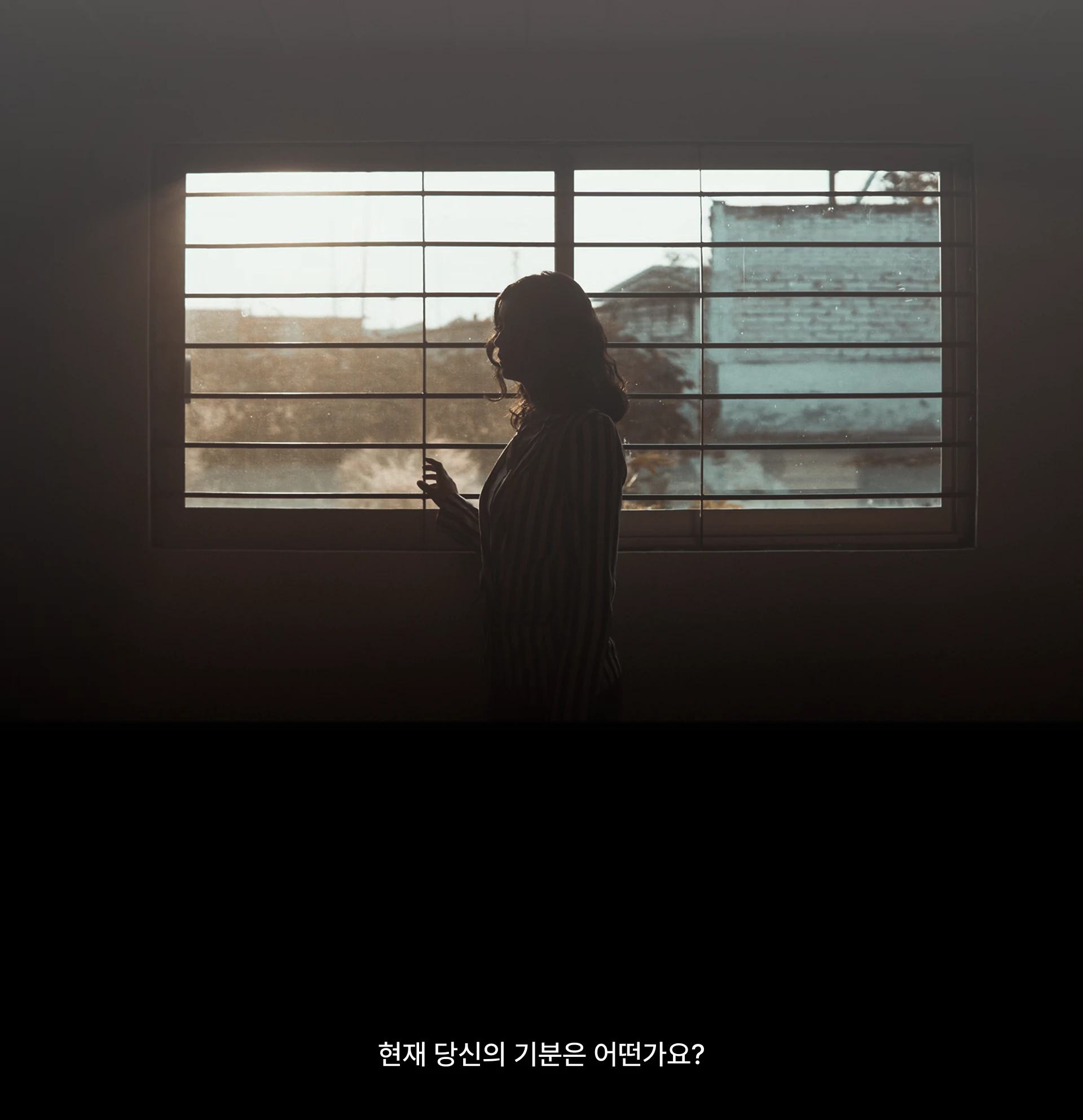 튜니투 — 1