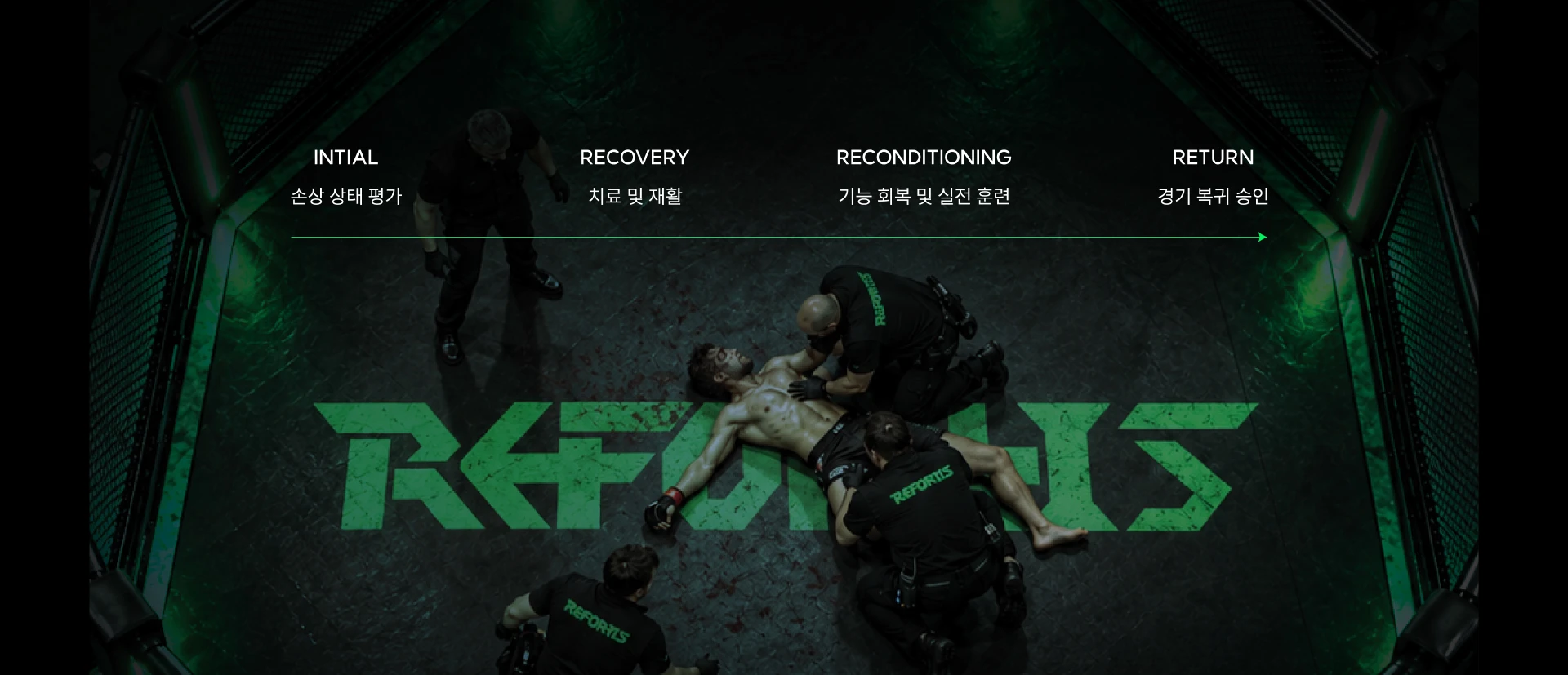 리포티스 — 4