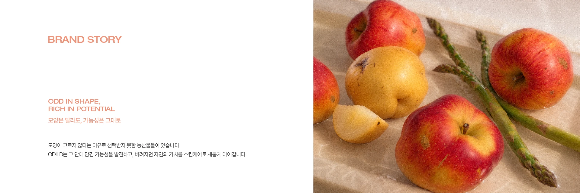 오딜드 — 2