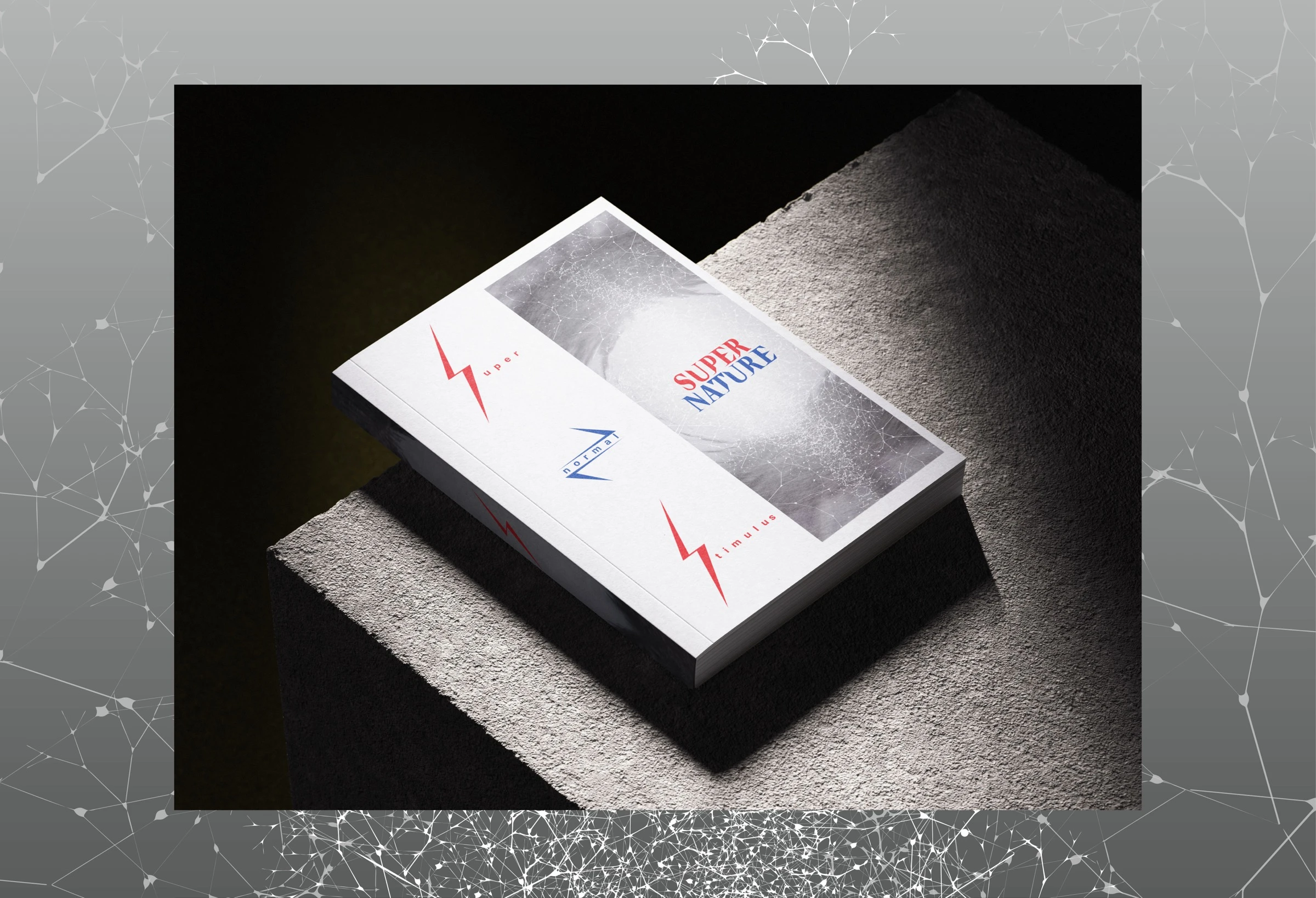 초정상자극 — 3