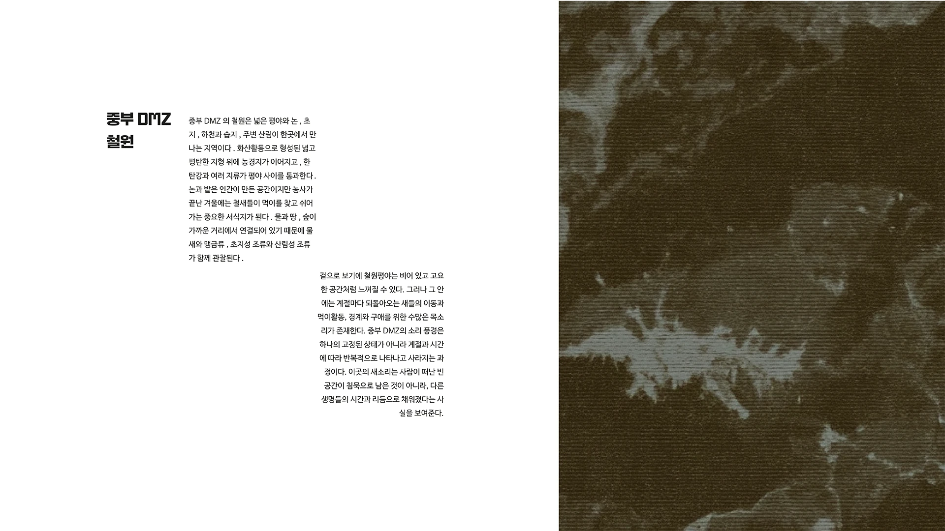 경계 너머의 소리 — 3