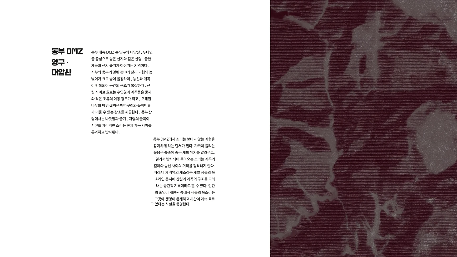경계 너머의 소리 — 4