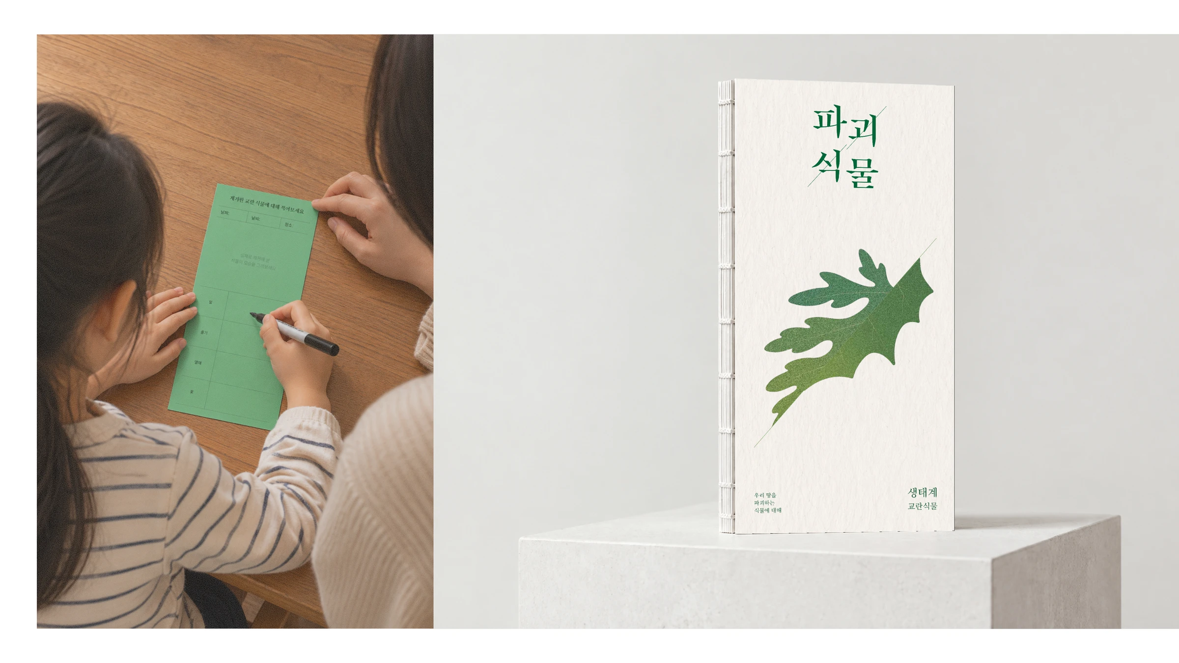 파괴식물 — 4